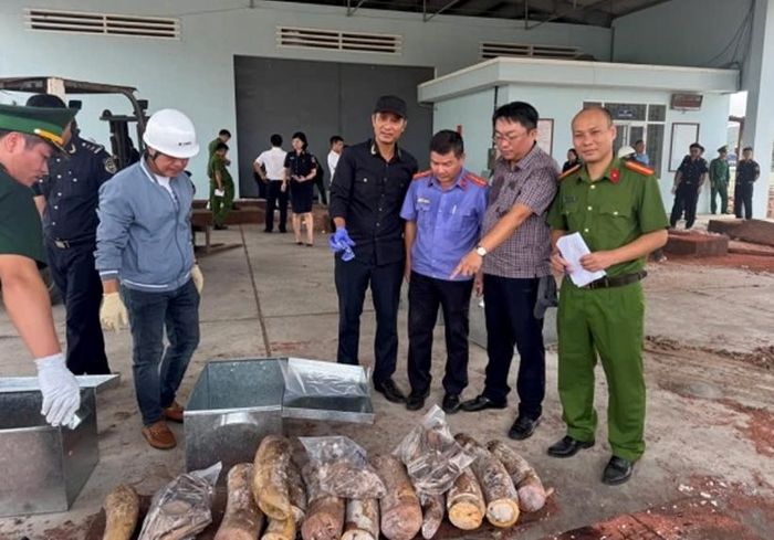 Kiểm sát viên VKSND tỉnh Gia Lai kiểm sát việc thu giữ tang vật.