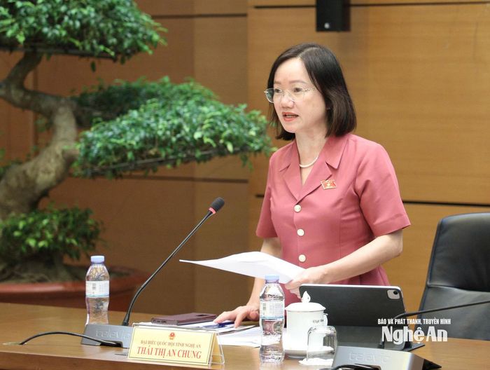 Phó trưởng Đoàn chuyên trách Đoàn ĐBQH tỉnh Thái Thị An Chung điều hành thảo luận tổ. Ảnh: Khánh Duy