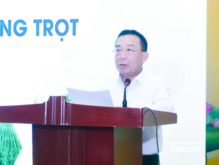 Đồng chí Nguyễn Văn Đệ - Ủy viên Ban Thường vụ Tỉnh ủy, Phó Chủ tịch UBND tỉnh phát biểu chỉ đạo tại hội nghị. Ảnh: Mai Hoa