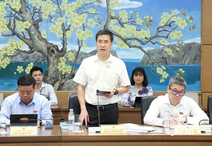 Đại biểu Quốc hội hoạt động chuyên trách tại Ủy ban Pháp luật và Tư pháp của Quốc hội Hoàng Minh Hiếu phát biểu thảo luận tổ. Ảnh: Khánh Duy