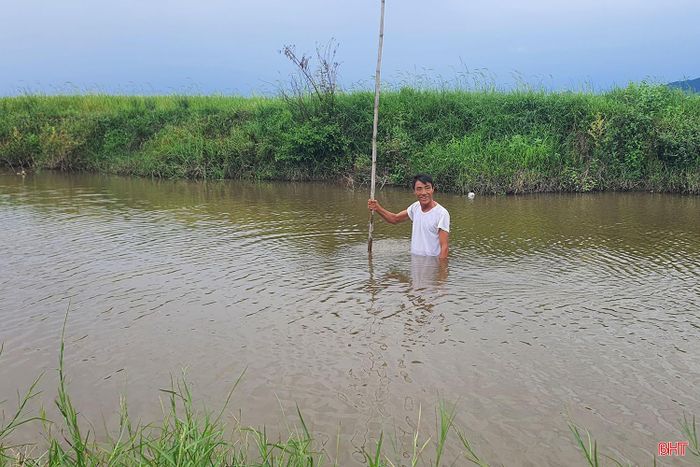 Ông Lê Ngọc Phượng - thôn Tây Sơn, xã Cẩm Lạc cho biết: “Lòng sông bị bồi lắng khiến việc lấy nước phục vụ sản xuất gặp khó khăn, trong khi khả năng tiêu thoát nước cũng giảm rõ rệt”.