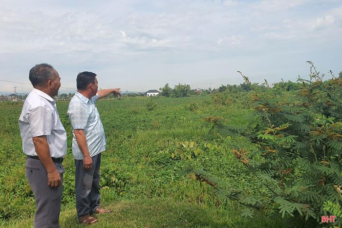 Ông Vương Khả Xô - Bí thư Chi bộ thôn Liên Bình, xã Đông Kinh (ngoài cùng bên trái) cho biết: Lòng sông Già đã bị bồi lắng rất nhiều, do bèo tây cản trở dòng chảy.