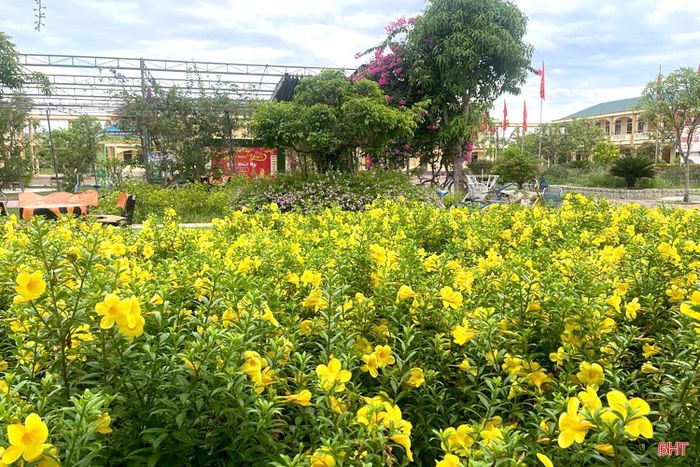 Không khí lao động sôi nổi, khẩn trương ở các trường học để chuẩn bị cho ngày tựu trường sắp tới.