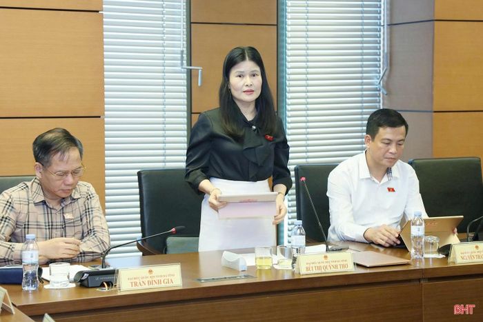 Đại biểu Bùi Thị Quỳnh Thơ - Phó Chủ nhiệm Ủy ban Công tác đại biểu của Quốc hội (Đoàn ĐBQH tỉnh Hà Tĩnh) phát biểu tại phiên thảo luận tổ.