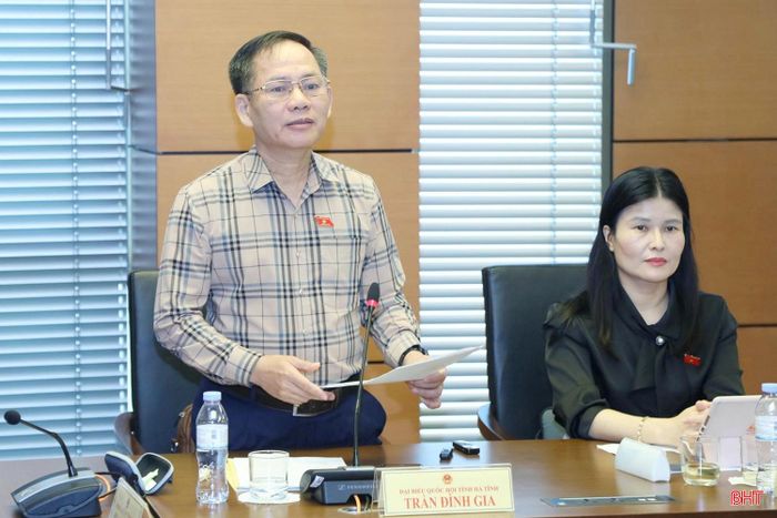 Đại biểu Trần Đình Gia - Phó Trưởng đoàn chuyên trách Đoàn ĐBQH tỉnh Hà Tĩnh tham gia thảo luận.