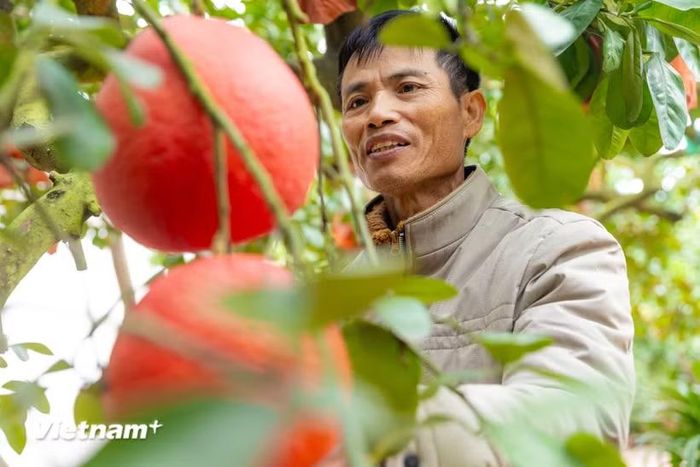 Ảnh minh họa. (Nguồn: Vietnam+)