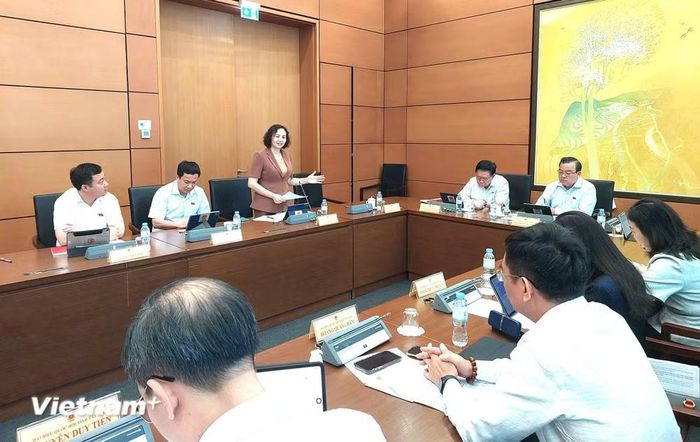 Các đại biểu thảo luận tại Tổ 3 (Đoàn Đại biểu Quốc hội các tỉnh Thanh Hóa, Tây Ninh). (Ảnh: Minh Thu/Vietnam+)