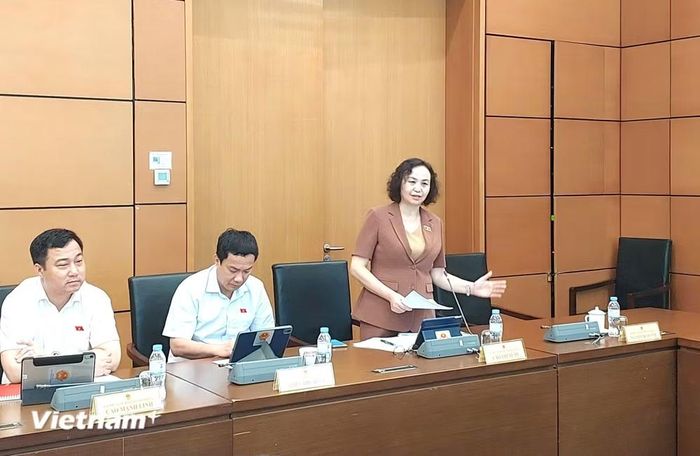 Đại biểu Cao Thị Xuân, Đoàn Đại biểu Quốc hội tỉnh Thanh Hóa tham gia thảo luận. (Ảnh: Minh Thu/Vietnam+)