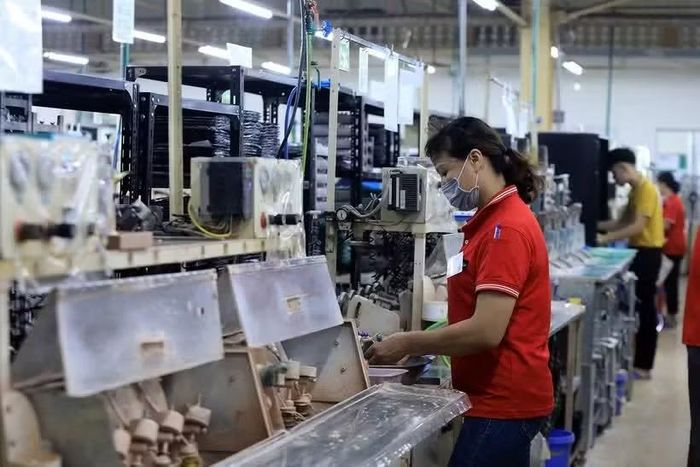 Nguồn vốn được sử dụng chủ yếu để tài trợ cho doanh nghiệp siêu nhỏ, nhỏ và vừa, đặc biệt là doanh nghiệp do phụ nữ làm chủ. (Ảnh: Vietnam+)