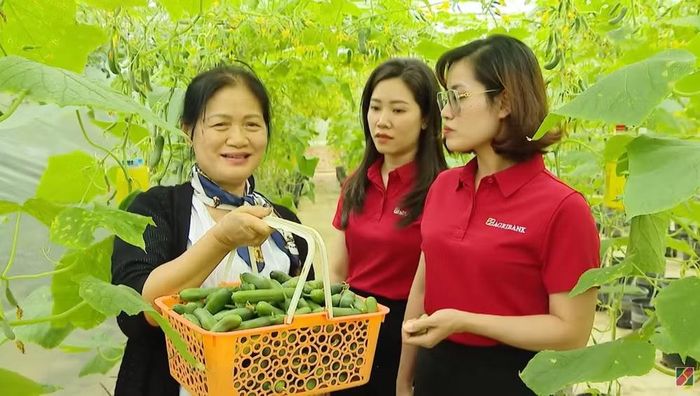 Các khoản vay hợp vốn quốc tế thường có thời hạn từ 3-7 năm, thậm chí dài hơn. (Ảnh: Vietnam+)