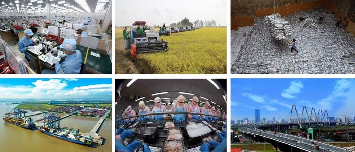 Việt Nam đã vươn lên trở thành một trong những nền kinh tế tăng trưởng năng động của khụ vực và thế giới.
