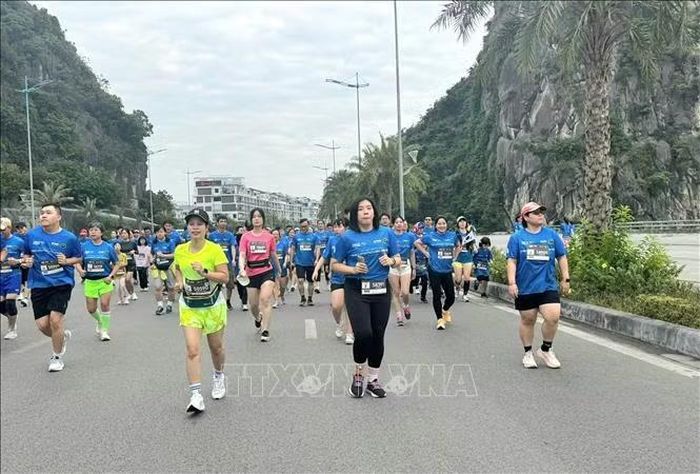 Các VĐV tham gia Giải Marathon Quốc tế Di sản Hạ Long 2025. Ảnh tư liệu: Thanh Vân/TTXVN