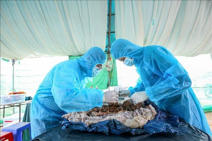 Nhân viên Trung tâm Y tế khu vực Tân Biên cẩn trọng thực hiện lấy mẫu hài cốt từ phần mộ liệt sĩ chưa xác định được thông tin.