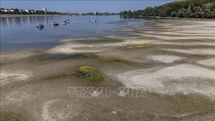 Tại Croatia, nắng nóng và hạn hán kéo dài đã khiến mực nước sông Danube và Drava xuống mức thấp, ảnh hưởng hoạt động vận tải đường thủy. Ảnh: THX/TTXVN phát