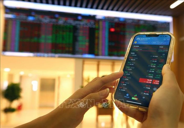 Khách hàng giao dịch tại Hội sở chính Công ty Chứng khoán Bảo Việt. Ảnh: Trần Việt/TTXVN