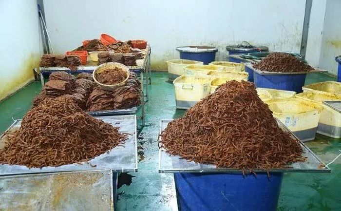 Nguyên liệu được công an phát hiện. Ảnh: CAĐN.