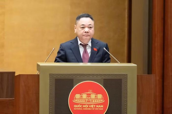 Phó Chủ nhiệm Ủy ban Kinh tế và Tài chính Nguyễn Ngọc Bảo trình bày Báo cáo tóm tắt ý kiến về định hướng chính sách sửa đổi Luật Đất đai năm 2024. Ảnh: Quốc hội.
