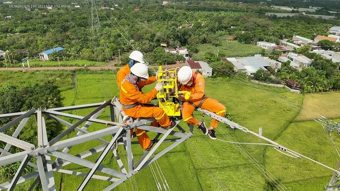 Tổ QLVH đường dây Phan Thiết thực hiện hỗ trợ quấn tưa tại khoảng cột 3115-3201 đường dây 500kV Vĩnh Tân - Sông Mây. Ảnh: Văn Giáp/Bnews/TTXVN