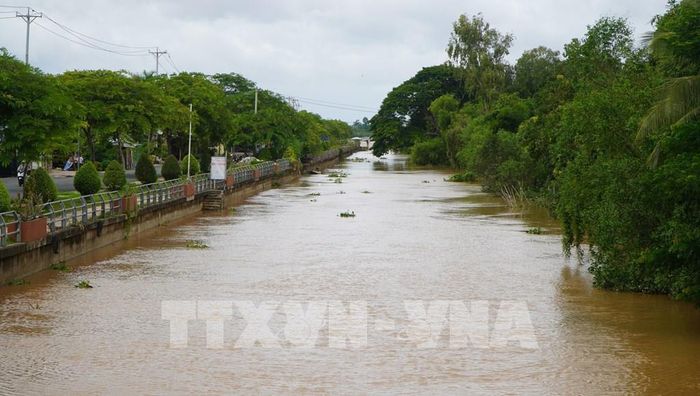 Mực nước ở sông, kênh, rạch trên địa bàn tỉnh Đồng Tháp đang lên theo triều cường. Ảnh: Nhựt An - TTXVN