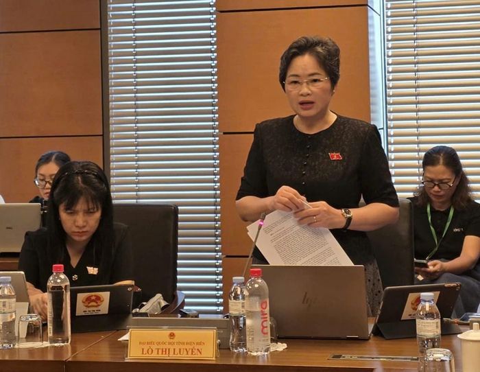 Đại biểu Lò Thị Luyến (Đoàn Điện Biên). Ảnh: Bích Hồng/Bnews/vnanet.vn