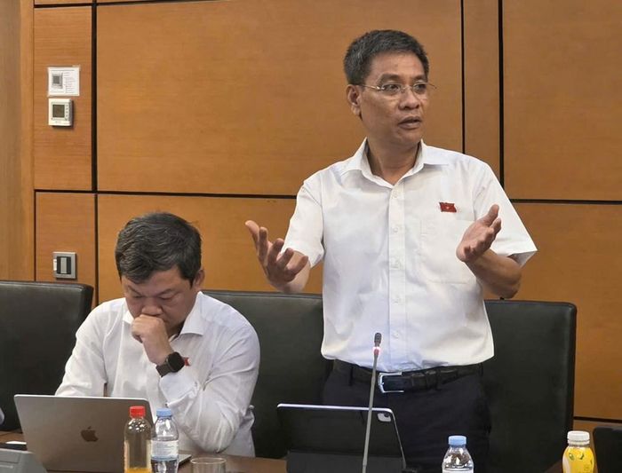 Đại biểu Đinh Ngọc Quý (Đoàn Gia Lai). Ảnh: Bích Hồng/Bnews/vnanet.vn