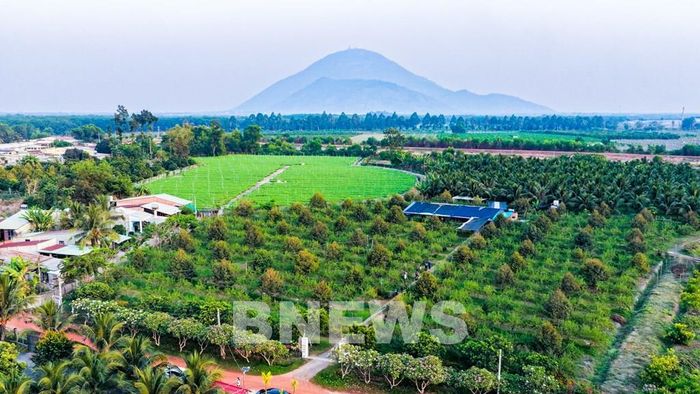 Toàn cảnh vùng đất nông nghiệp dưới chân núi Bà Đen, được quy hoạch phát triển sắn, cao su và cây ăn trái, góp phần hình thành các vùng sản xuất tập trung, nâng cao hiệu quả sử dụng đất tại Tây Ninh. Ảnh: Minh Phú – TTXVN