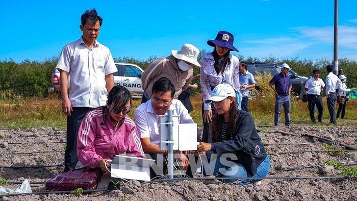 Ngành nông nghiệp tỉnh Tây Ninh đẩy mạnh ứng dụng khoa học – kỹ thuật tiên tiến vào sản xuất, góp phần nâng cao năng suất, chất lượng nông sản và phát triển nông nghiệp bền vững. Ảnh: Minh Phú – TTXVN