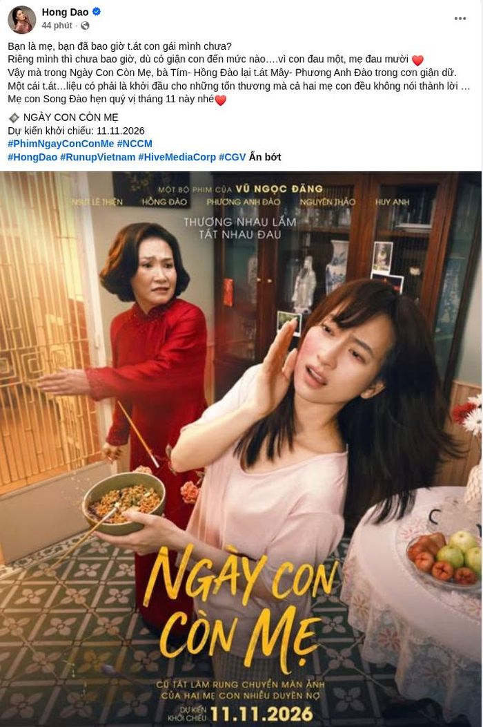 Bài đăng của Hồng Đào trên trang cá nhân. Ảnh: FBNV