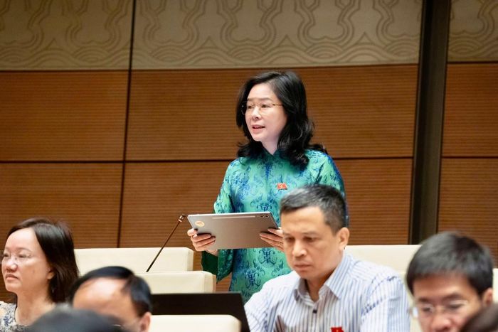 Đại biểu Lê Thị Hoài Chung, Đoàn ĐBQH tỉnh Nghệ An, kiến nghị