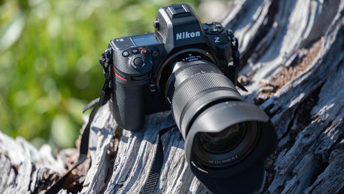 Trên những mẫu máy như Nikon Z8, tính năng nhận diện chủ thể bằng AI đặc biệt hữu ích khi chụp động vật hoang dã hoặc các đối tượng chuyển động nhanh
