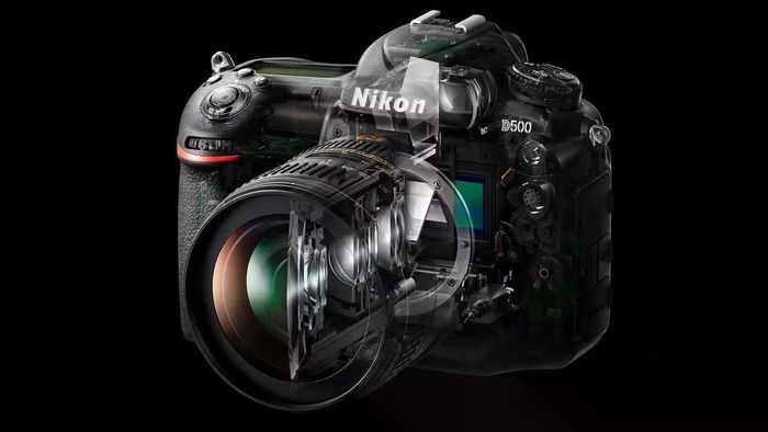 DSLR sử dụng một chiếc gương để phản chiếu hình ảnh quang học lên kính ngắm. Khi nhấn nút chụp, gương lật lên để ánh sáng đi thẳng tới cảm biến