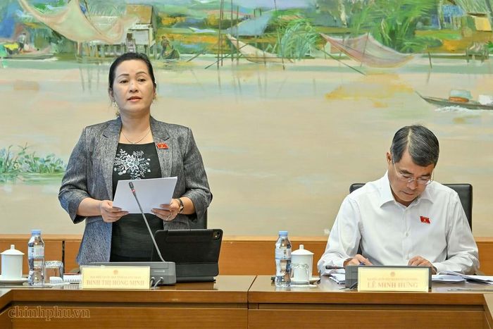 Bà Đinh Thị Hồng Minh, Đại biểu Quốc hội tỉnh Quảng Ngãi phát biểu.