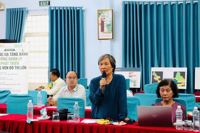 PGS-TS Nguyễn Hồng Thục cho rằng Bình Mỹ trong lịch sử cũng là một tọa độ giao thương đường thủy vô cùng sầm uất. Vì vậy, việc thiết lập chiến lược quy hoạch không thể làm theo phong trào.
