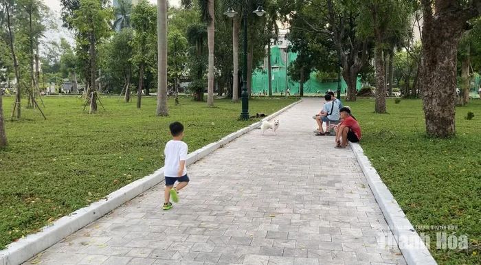 Chó chạy tự do, không được kiểm soát trong khu vực vui chơi của trẻ em.