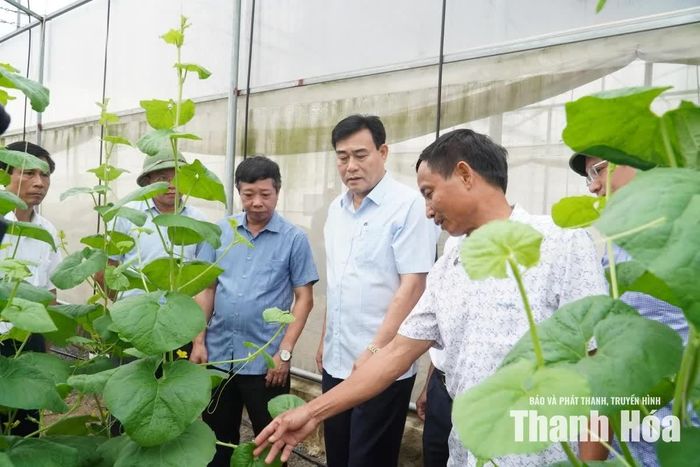 Đoàn giám sát thăm mô hình ứng dụng công nghệ cao trên địa bàn xã Thiệu Hóa.