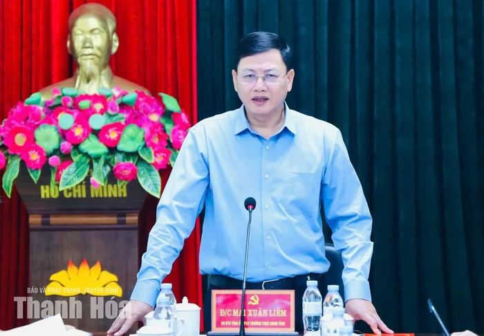 Phó Chủ tịch Thường trực UBND tỉnh Mai Xuân Liêm kết luận buổi làm việc.