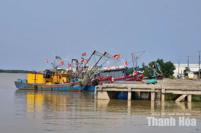 Tàu thuyền neo đậu tại cảng Lạch Hới.