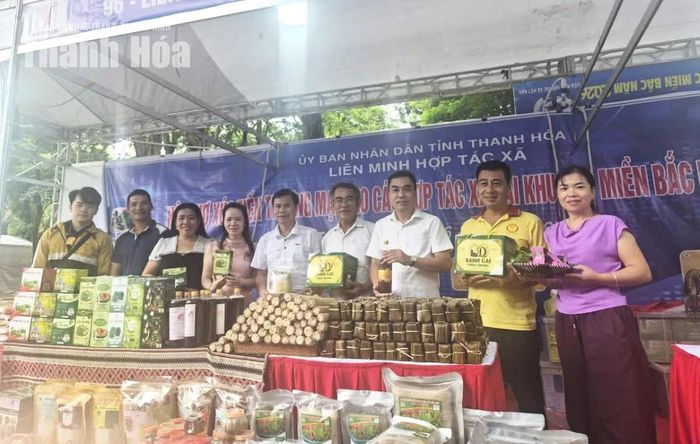 Các HTX của tỉnh Thanh Hóa tham gia trưng bày sản phẩm tại hội chợ.