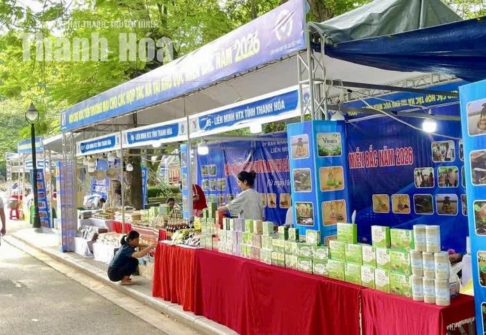 Gian hàng của Liên minh HTX tỉnh Thanh Hóa tham gia hội chợ.