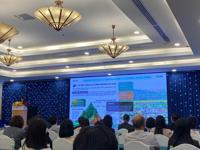 Buổi Roadshow của HGI tại TP HCM thu hút nhiều nhà đầu tư.  