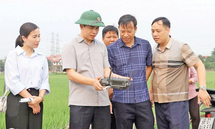 Bí thư Đảng ủy xã Xuân Cẩm Hoàng Công Bộ thăm mô hình “cánh đồng không dấu chân” tại thôn Cẩm Bào. Ảnh: Phương Nhung.