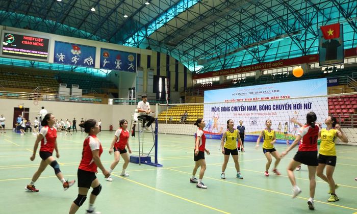Các đội bóng chuyền hơi nữ tham gia thi đấu.