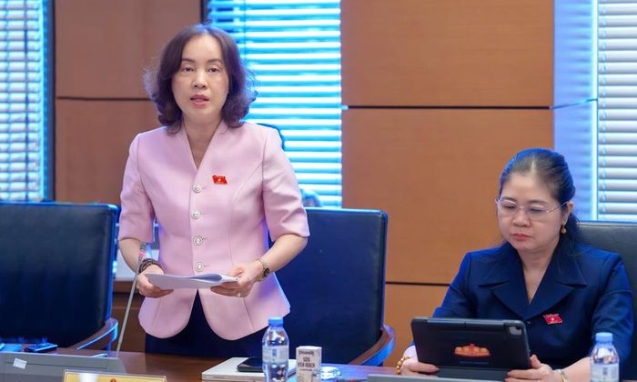  Đại biểu Nguyễn Thị Kim Anh phát biểu thảo luận. 