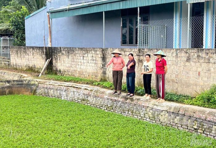 Rau cần đem lại hiệu quả kinh tế cao cho một số hộ dân thôn Việt Thanh, xã Thanh Nưa.