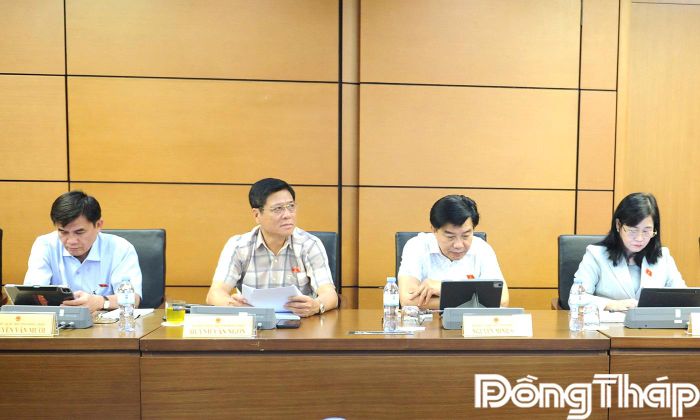 Đại biểu Quốc hội tỉnh Đồng Tháp tham gia phiên thảo luận tại tổ.