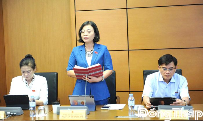 Đại biểu Nguyễn Thanh Cầm phát biểu thảo luận.