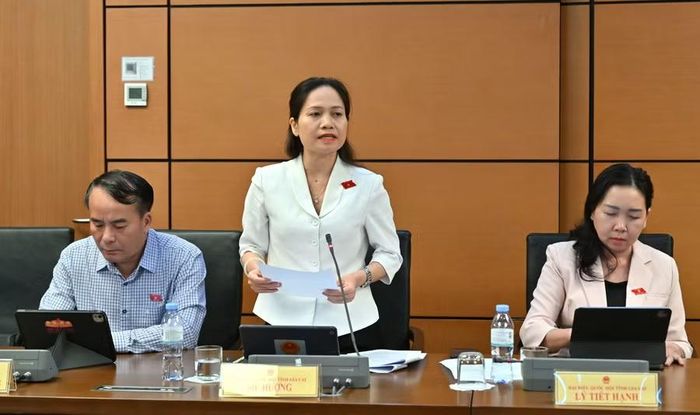 ĐB Siu Hương đồng tình với tinh thần “địa phương quyết, địa phương làm, địa phương chịu trách nhiệm”. Ảnh: Đoàn ĐBQH tỉnh Gia Lai