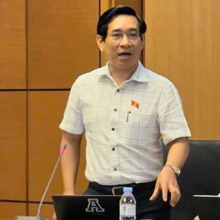 ĐB Nguyễn Văn Cảnh đề nghị bổ sung rõ nội dung về hạ tầng giao thông nông thôn. Ảnh: Đoàn ĐBQH tỉnh Gia Lai