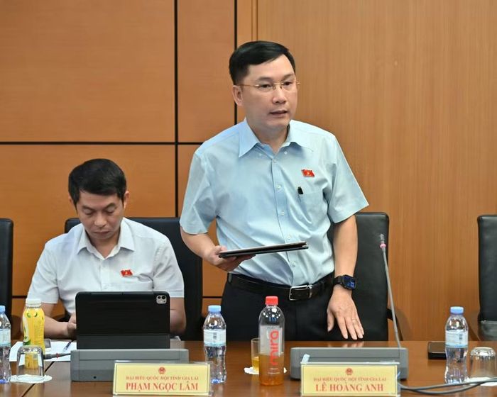  ĐB Lê Hoàng Anh cho rằng bên cạnh công tác chuẩn bị đầu tư, cần quan tâm đến việc vận hành công trình sau đầu tư. Ảnh: Đoàn ĐBQH tỉnh Gia Lai 