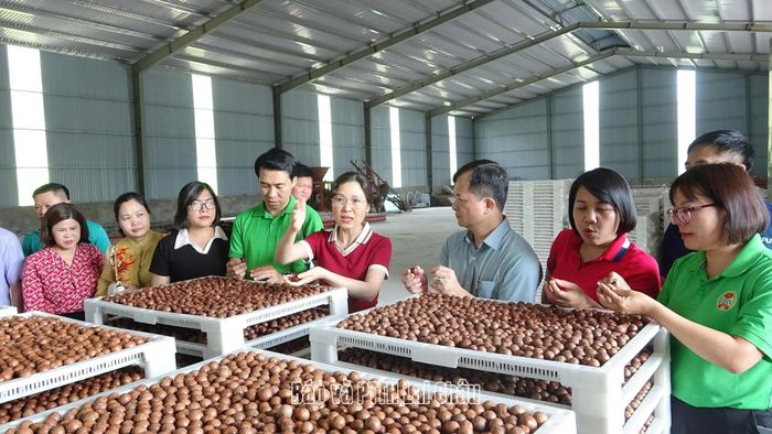 Đoàn công tác Hội Nông dân thành phố Hà Nội thăm mô hình chế biến nông sản trên địa bàn tỉnh Lai Châu.